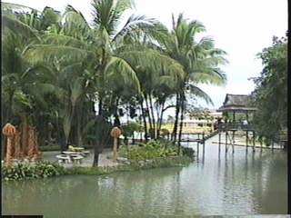 Тропический сад Нонг Нуч -1