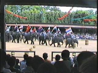 Шоу слонов